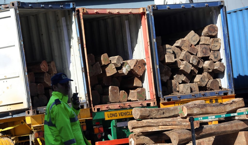 Containers filled with wood suspected of being smuggled were detained by Hong Kong Customs agents in 2014. Photo: SCMP