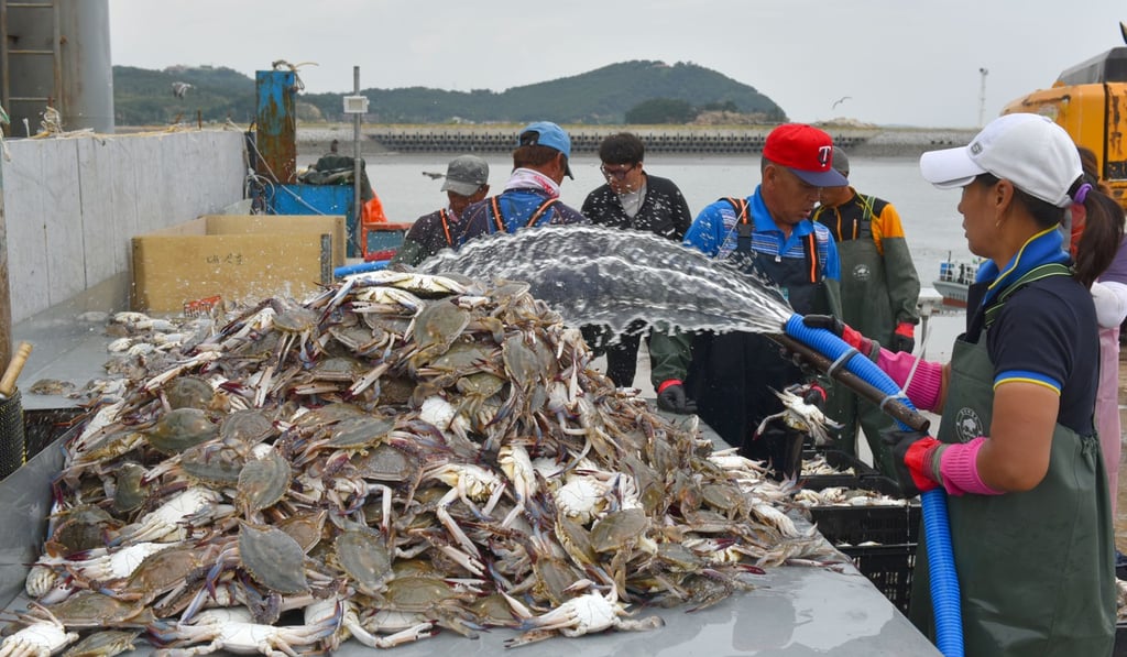 The island’s fishermen are hoping for a peace zone at sea. Photo: Kim Jae-hwan