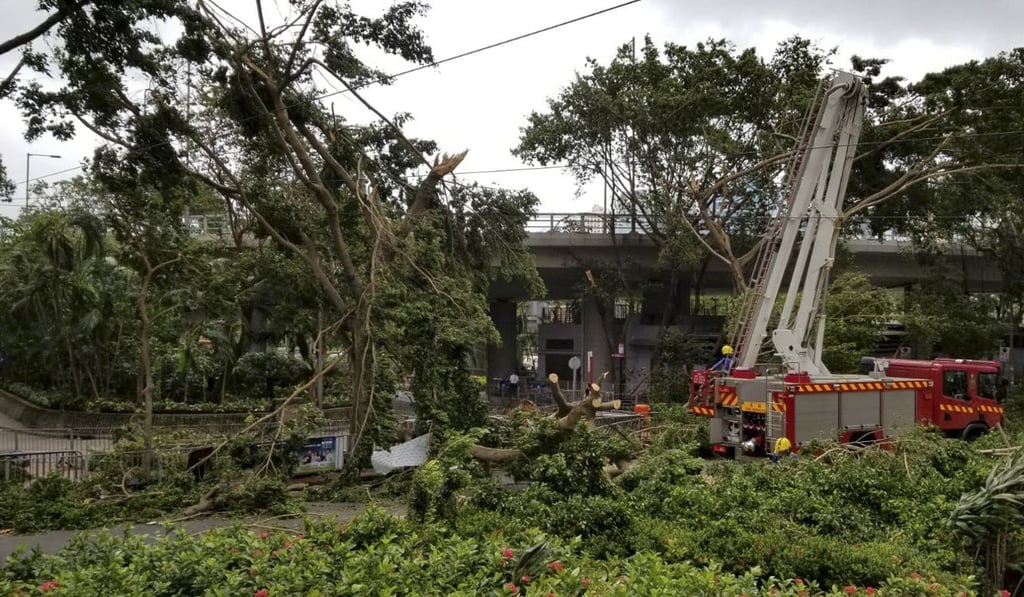 Firefighters begin to clear fallen trees outside Victoria Park in Causeway Bay. Photo: Martin Chan