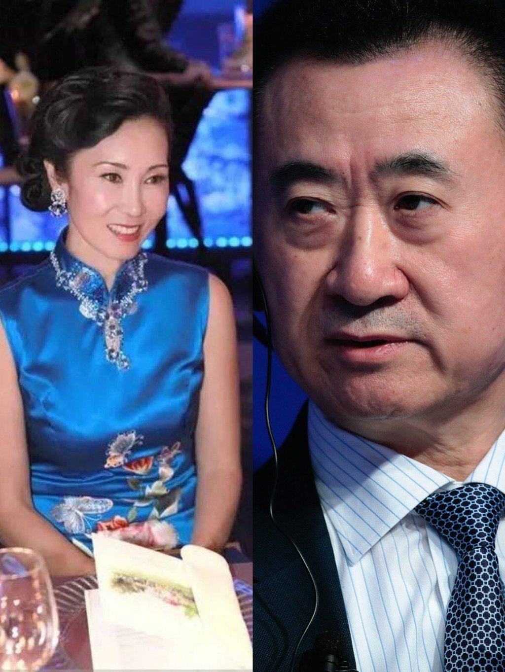 Lin Ning and her husband, Wang Jianlin, China’s real estate king. Photo: Lin Ning, Sohu.com