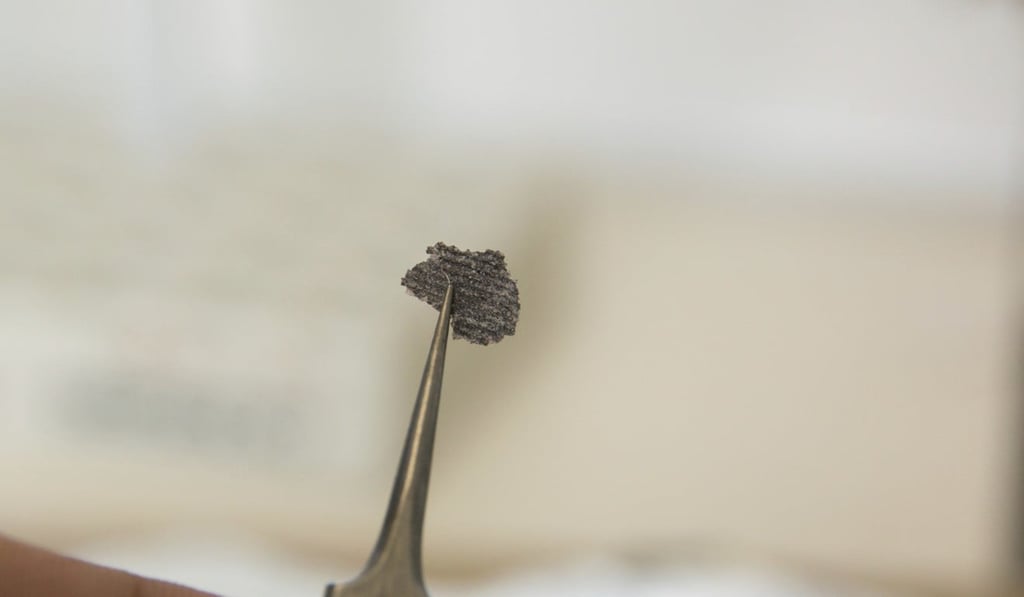 This photo provided by Ilya Bobrovskiy in September 2018 shows a fragment from a Dickinsonia fossil. Photo: AP