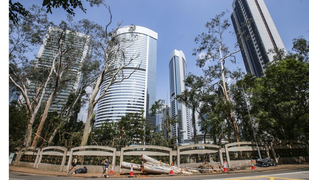 A fallen lemon-scented gum tree on Kennedy Road. Photo: David Wong
