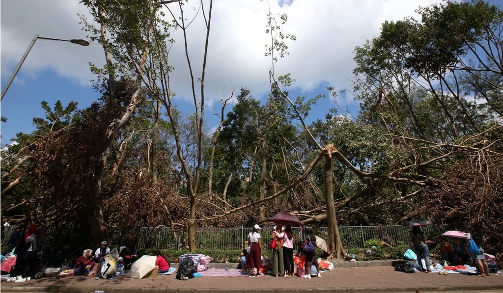 Domestic workers sitting next to fallen trees in Victoria Park in Causeway Bay. Photo: David Wong