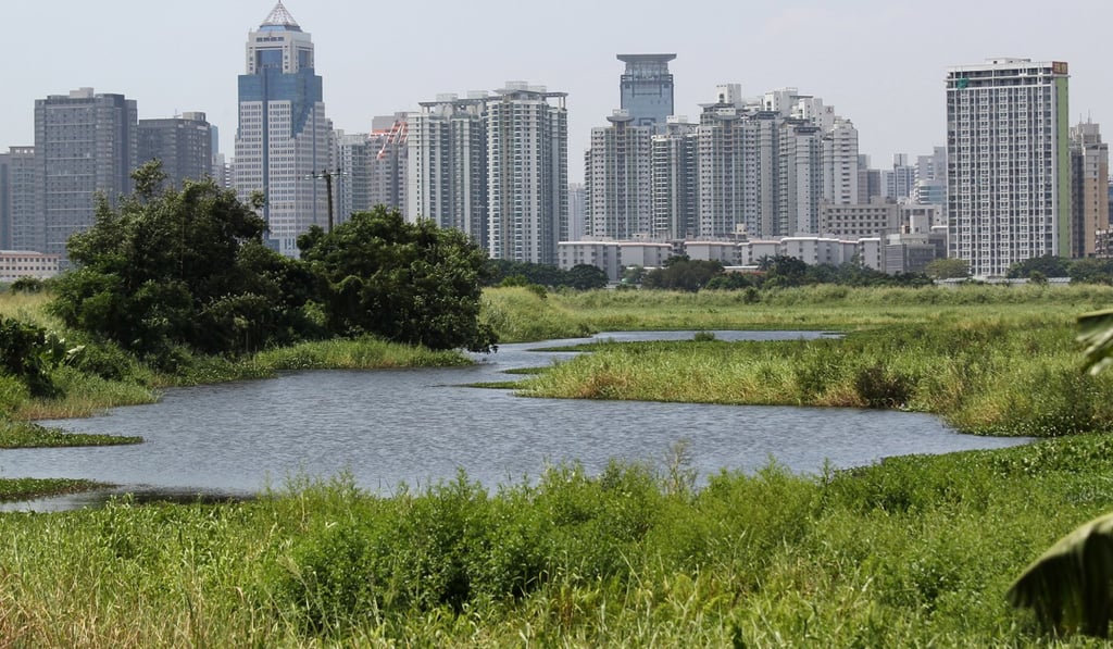Mai Po with Shenzhen in the background. Photo: Dickson Lee
