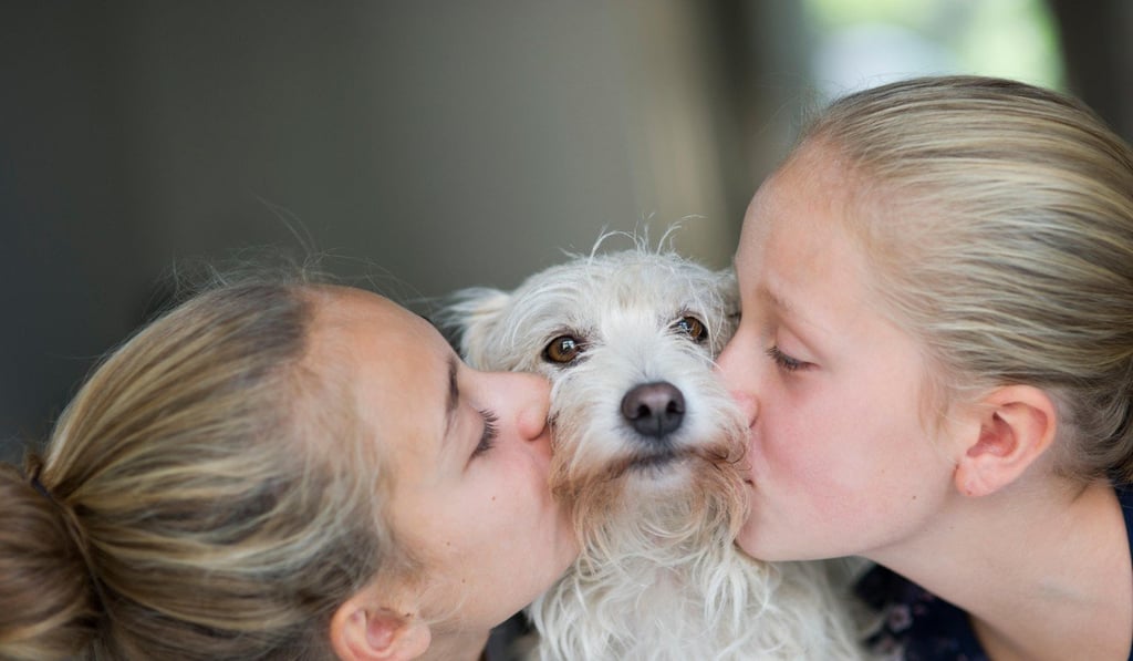 Scientists say the bond between humans and dogs goes back 15,000 years. Photo: Alamy