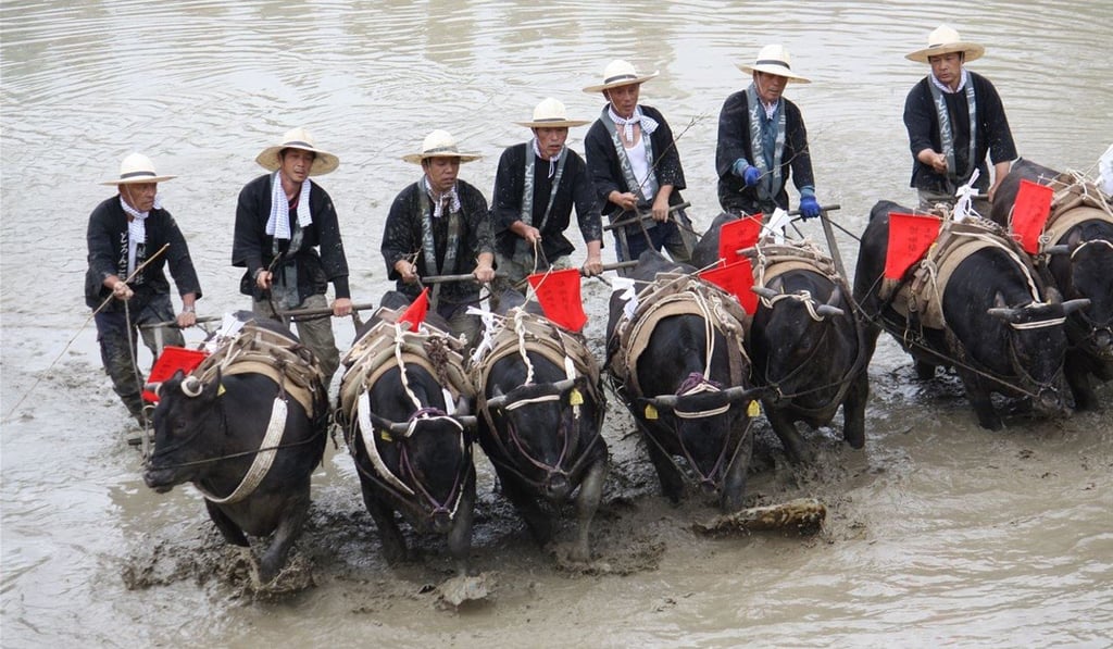 The Doronko Matsuri celebrates the planting of the local rice crop. Photo: Handout