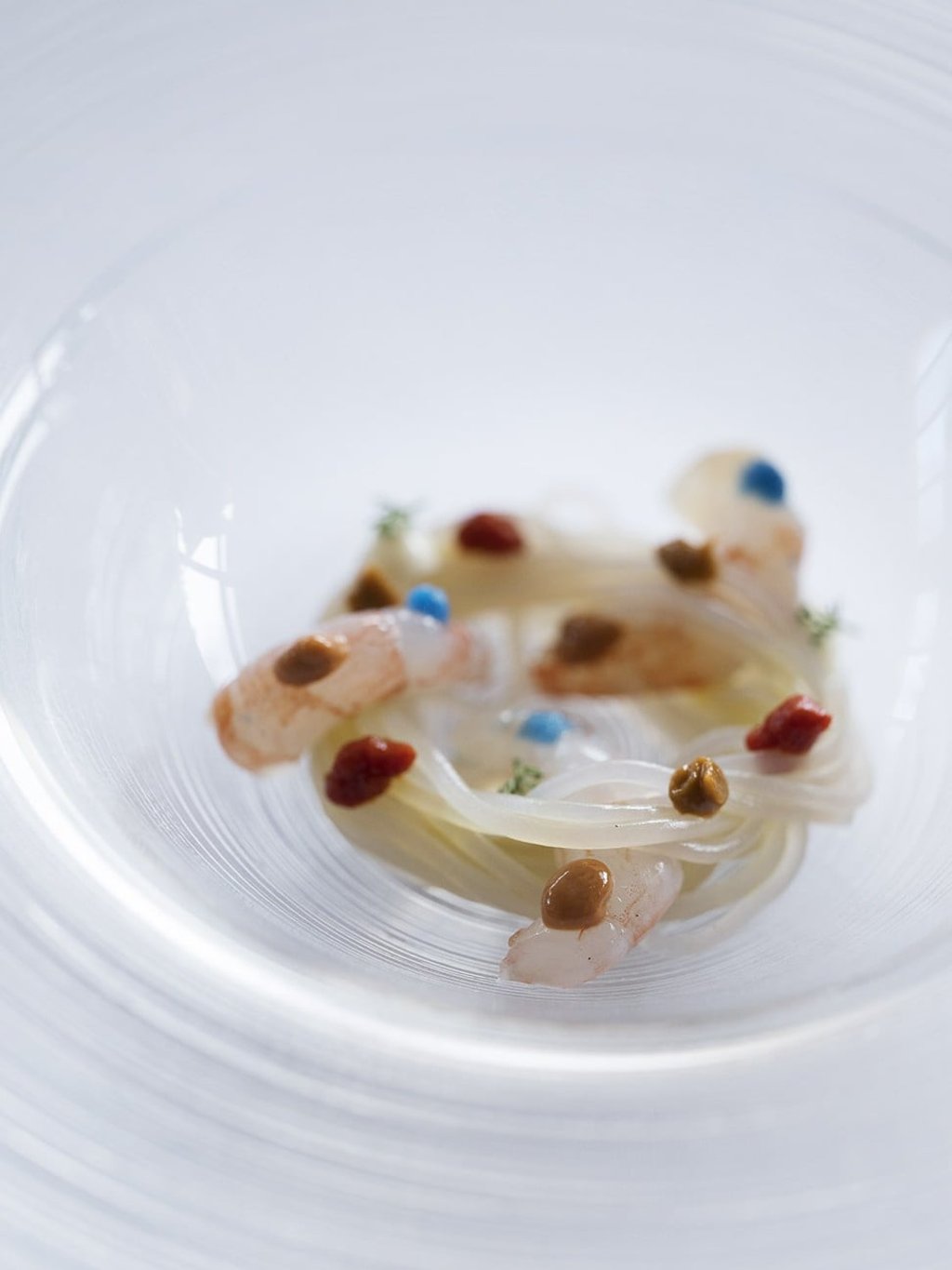 Cold noodles with shrimp and acid contrasts.