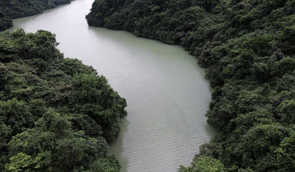 Shek Lei Pui Reservoir in Kam Shan Country Park, Sha Tin. Photo: Sam Tsang