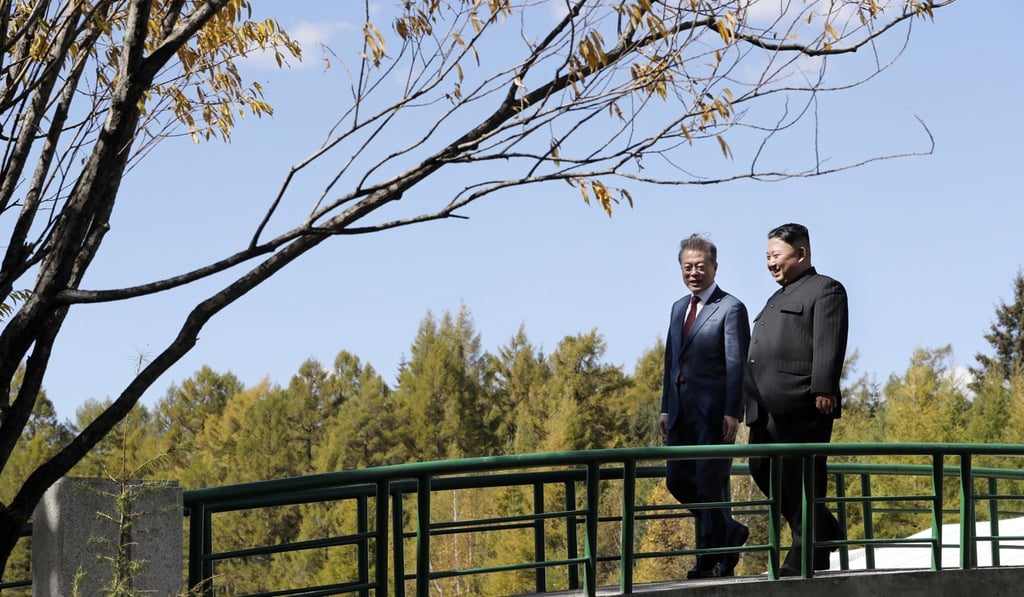 The ‘peace puppies’ are a sign of a growing relationship between South Korean President Moon Jae-in and North Korean leader Kim Jong-un. Photo: Associated Press