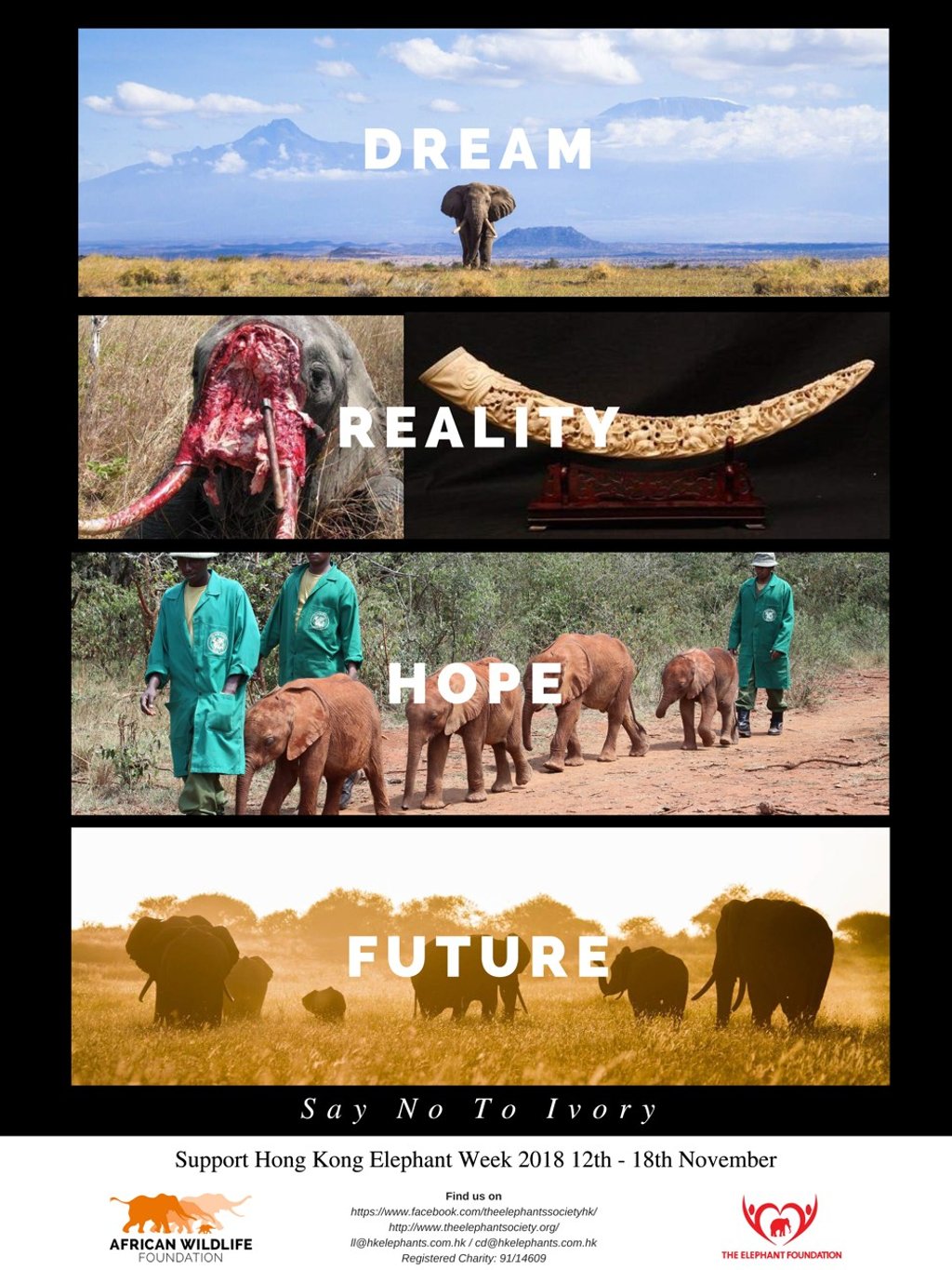 A poster for Hong Kong Elephant Week, which entails a tour of 14 local schools. Photo: Handout