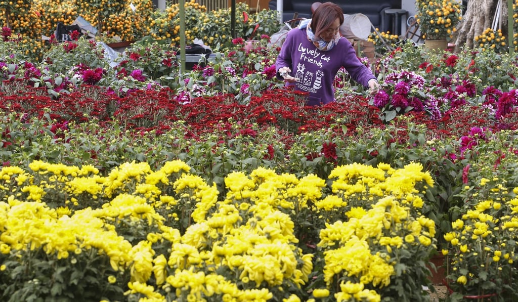 Chrysanthemums are a staple during Chung Yeung Festival. Photo: Felix Wong
