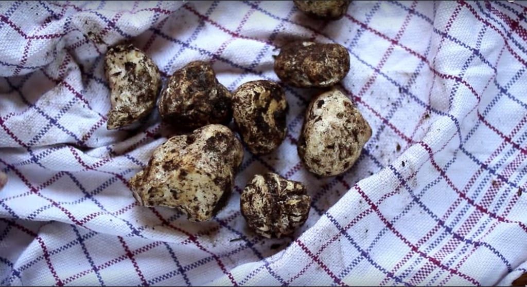 Honey truffles go well with a strong, buttery Chardonnay.