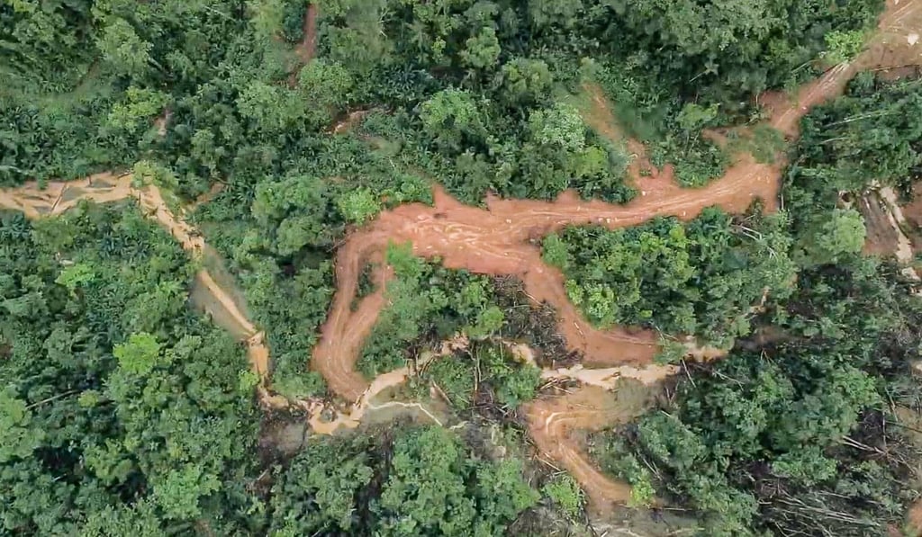The Solomon Islands is felling its tropical forests at nearly 20 times a sustainable rate, according to environmental group Global Witness. Photo: Reuters