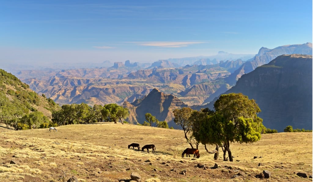 A panoramic view from the Simien Mountains National Park overlooking the Ethiopian plateau, under hard light conditions, as wild horses graze. Photo: Getty Images/iStockphoto A panoramic view from the Simien Mountains National Park overlooking the Ethiopian plateau, under hard light conditions, as wild horses graze. Photo: Getty Images/iStockphoto