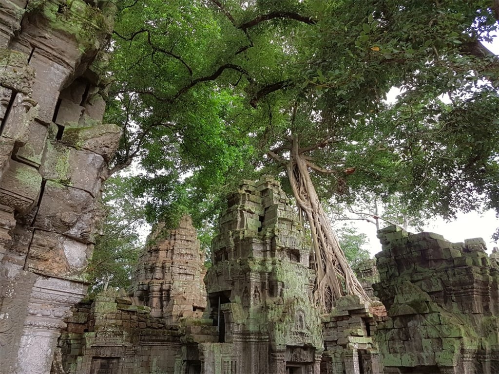 The scenes at Ta Prohm, where architecture fuses with nature, sparking a sense of adventure.