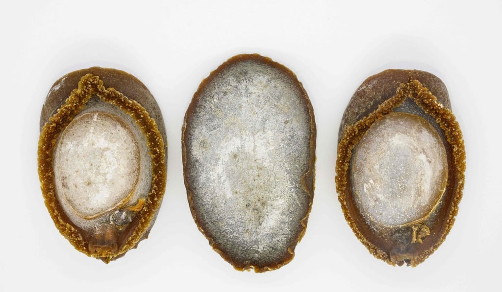 Dried abalone is sought after in Hong Kong. Photo: AFP