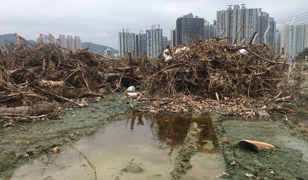 Tree waste piled at Kai Tak. Photo: Karen Zhang Tree waste piled at Kai Tak. Photo: Karen Zhang