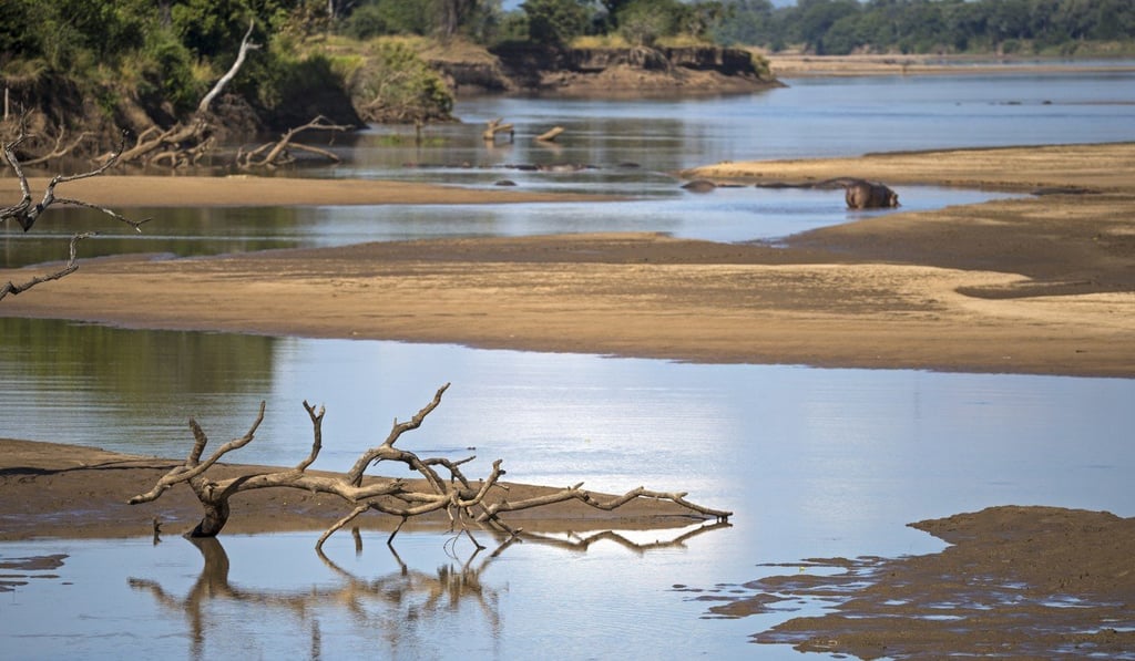 The Luangwa River.