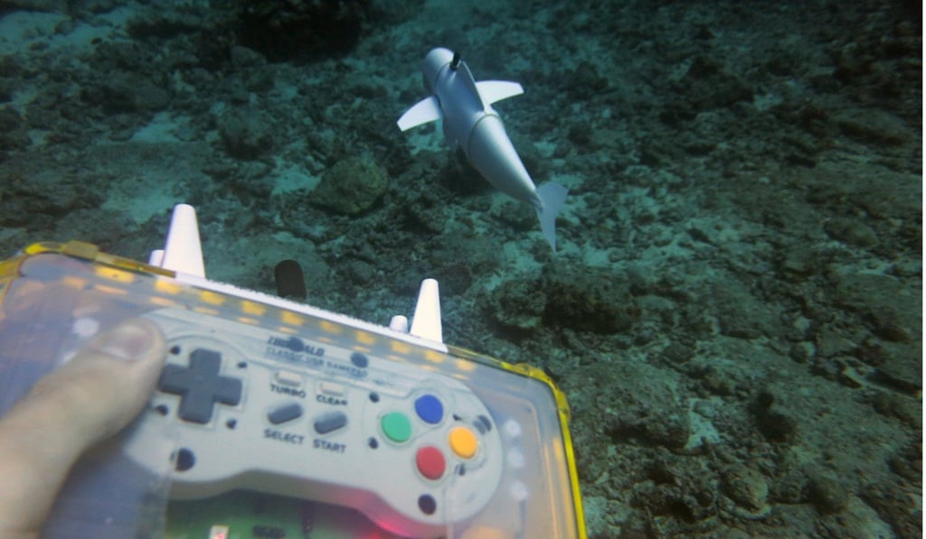In sea trials, some fish have ignored the presence of the remote controlled robot fish, which can also independently swim alongside other fish. Photo: Robert Katzschmann