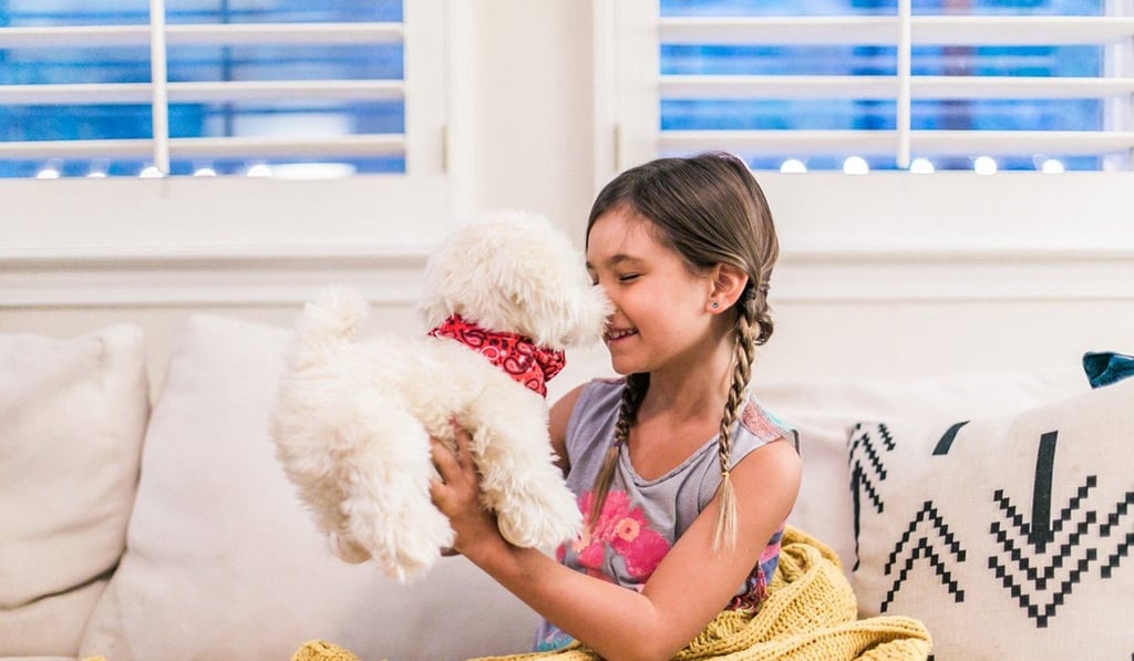 Georgie, a white robot puppy, responds to 12 commands and is aimed at children