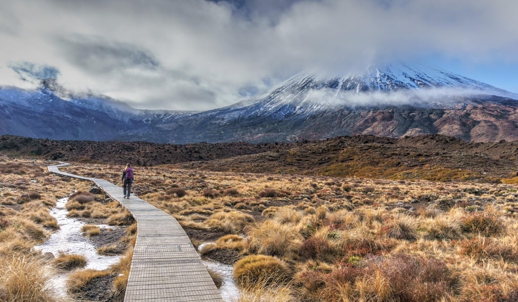 The famous Tongariro crossing hike in New Zealand’s North Island. Photo: Alamy
