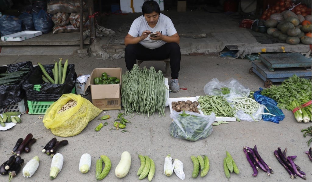A Chinese vendor waits for customers at a vegetable stall at a market in Beijing. China’s poor consumption figures this year have raised concerns about the soundness of domestic demand. Photo: EPA