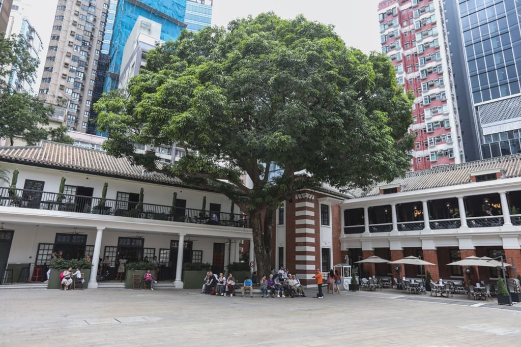 Aaharn is to the left of the mango tree. Photo: Nora Tam