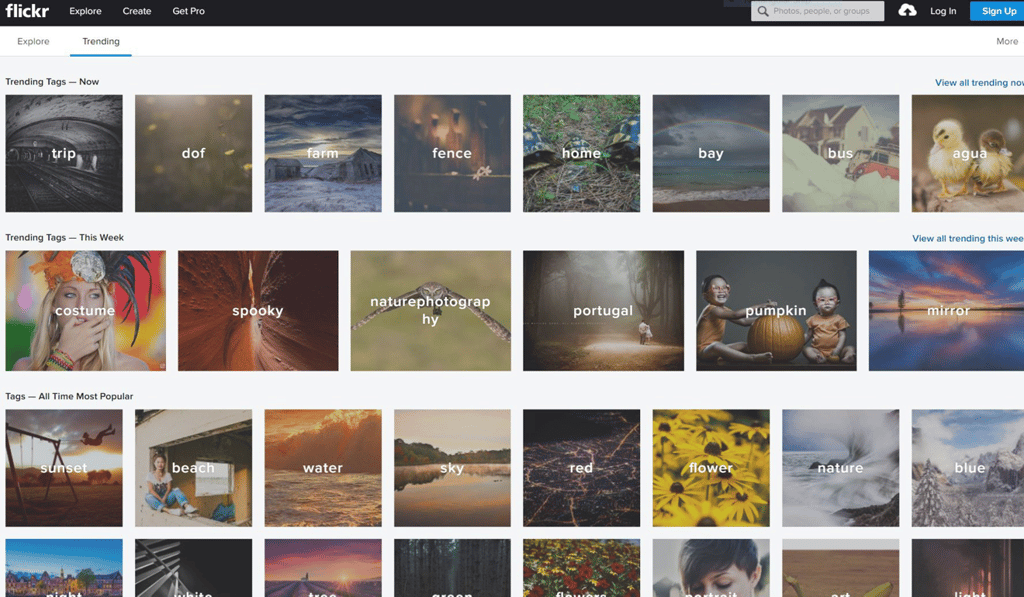 The user interface for the photo-sharing and storage platform Flickr. Photo: Flickr