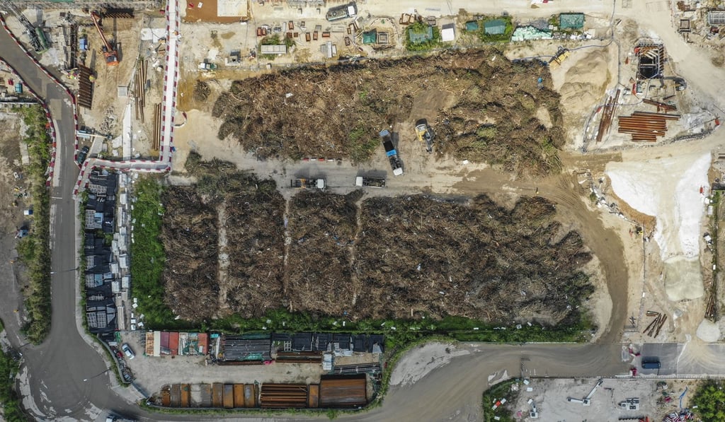 The old airport runways were covered with 7,400 truckloads of tree waste shortly after Typhoon Mangkhut hit on September 16. Photo: Roy Issa