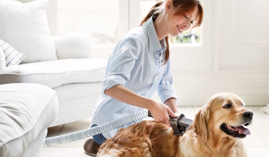 The Dyson Groom tool, which can be attached to vacuum cleaners to remove hair directly from your cat or dog, before it escapes into the atmosphere. Photo: Dyson