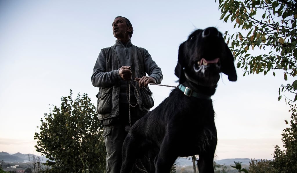 Monchiero searches for truffles with his dog Rocky in Roddi, northwestern Italy. Photo: AFP