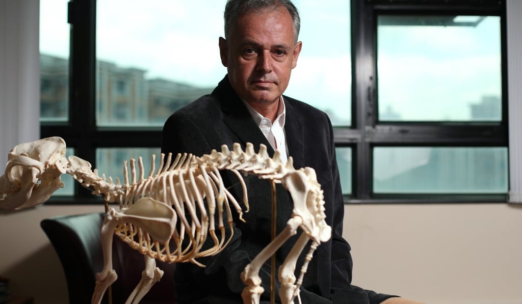 Professor Michael Reichel said there “should be plenty of opportunities” for the school’s first batch of students, once they graduate. Photo: Xiaomei Chen