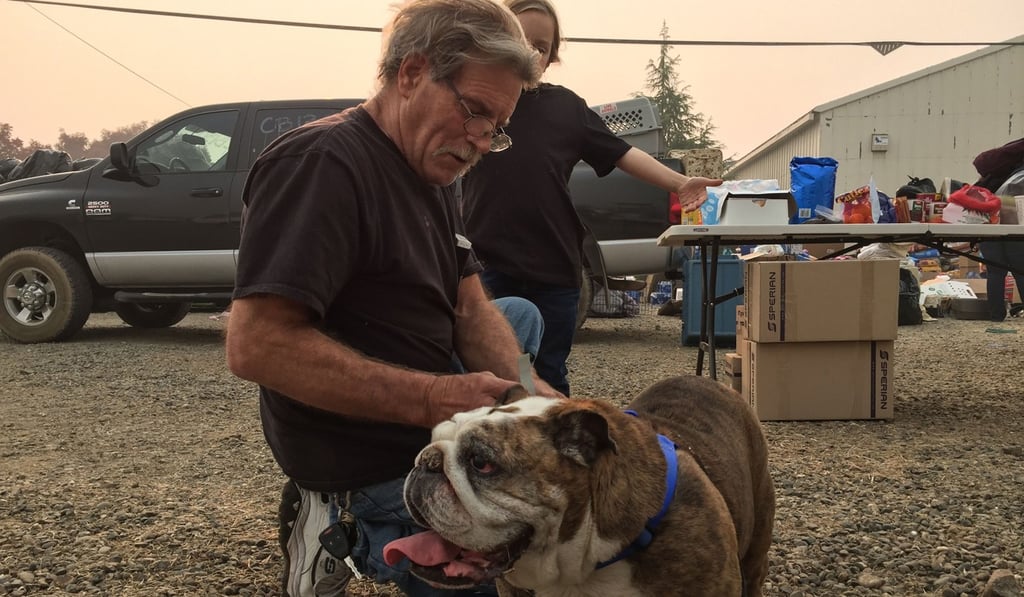 Steve Cox pets Ernie, his 10-year-old English bulldog, before handing him over to a shelter. Photo: AFP