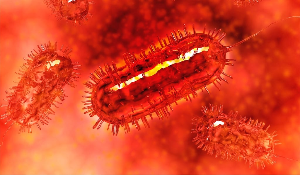 About 50 people in North America have become sick from E coli bacteria. Photo: Alamy