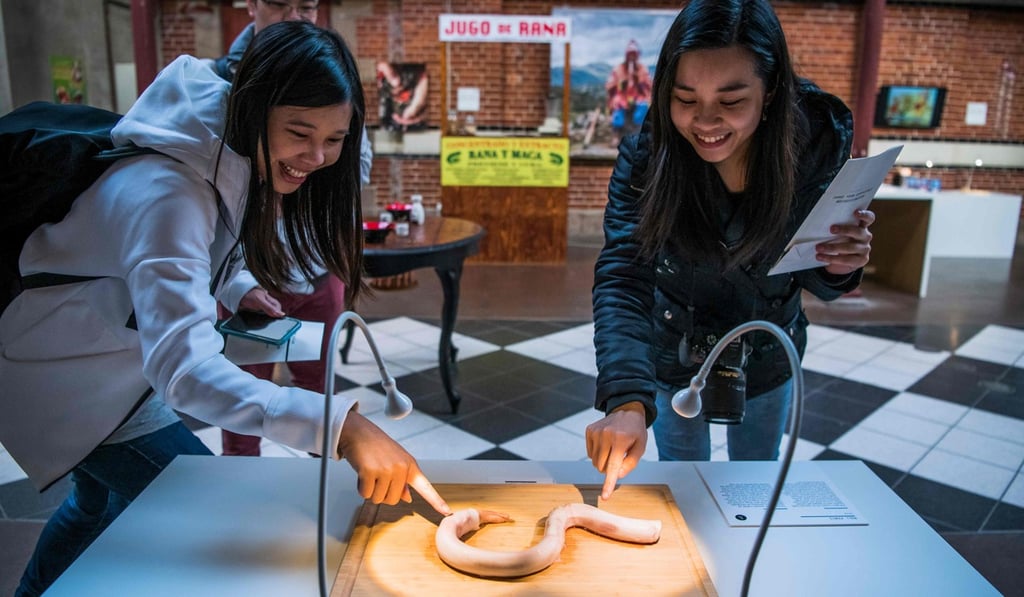 Visitors touch the bull penis from China. Photo: AFP Visitors touch the bull penis from China. Photo: AFP