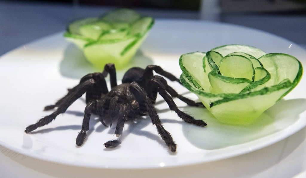 The Disgusting Food Museum’s deep-fried tarantula. Photo: EPA The Disgusting Food Museum’s deep-fried tarantula. Photo: EPA