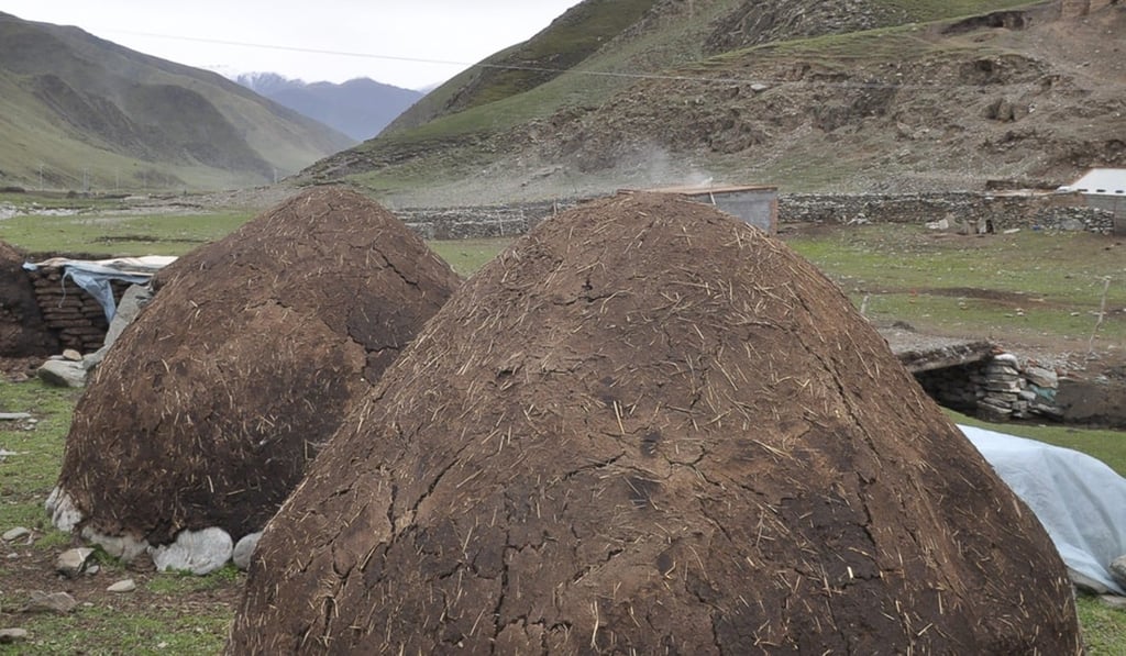 Piles of yak dung Tibetan nomads accumulate in summer for use as fuel in winter. A filmmaking programme helped one nomad, Lhaze, make a film about the dung’s many uses. Piles of yak dung Tibetan nomads accumulate in summer for use as fuel in winter. A filmmaking programme helped one nomad, Lhaze, make a film about the dung’s many uses.