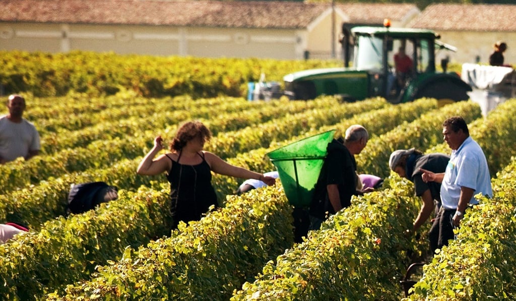 Bordeaux, in the South of France, is attracting many travellers away from the French capital, Paris. Bordeaux, in the South of France, is attracting many travellers away from the French capital, Paris.
