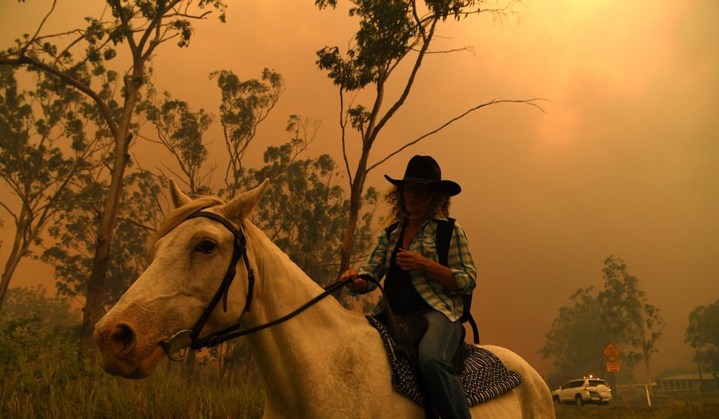Rhonda Anderson leads her horse to safety near Mount Larcom, Queensland. Photo: EPA