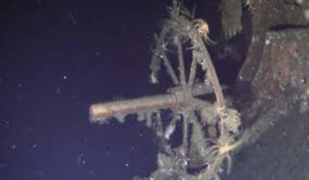 A photo shows what divers claim to have found, off the island of Ulleungdo. Picture: Shinil Group