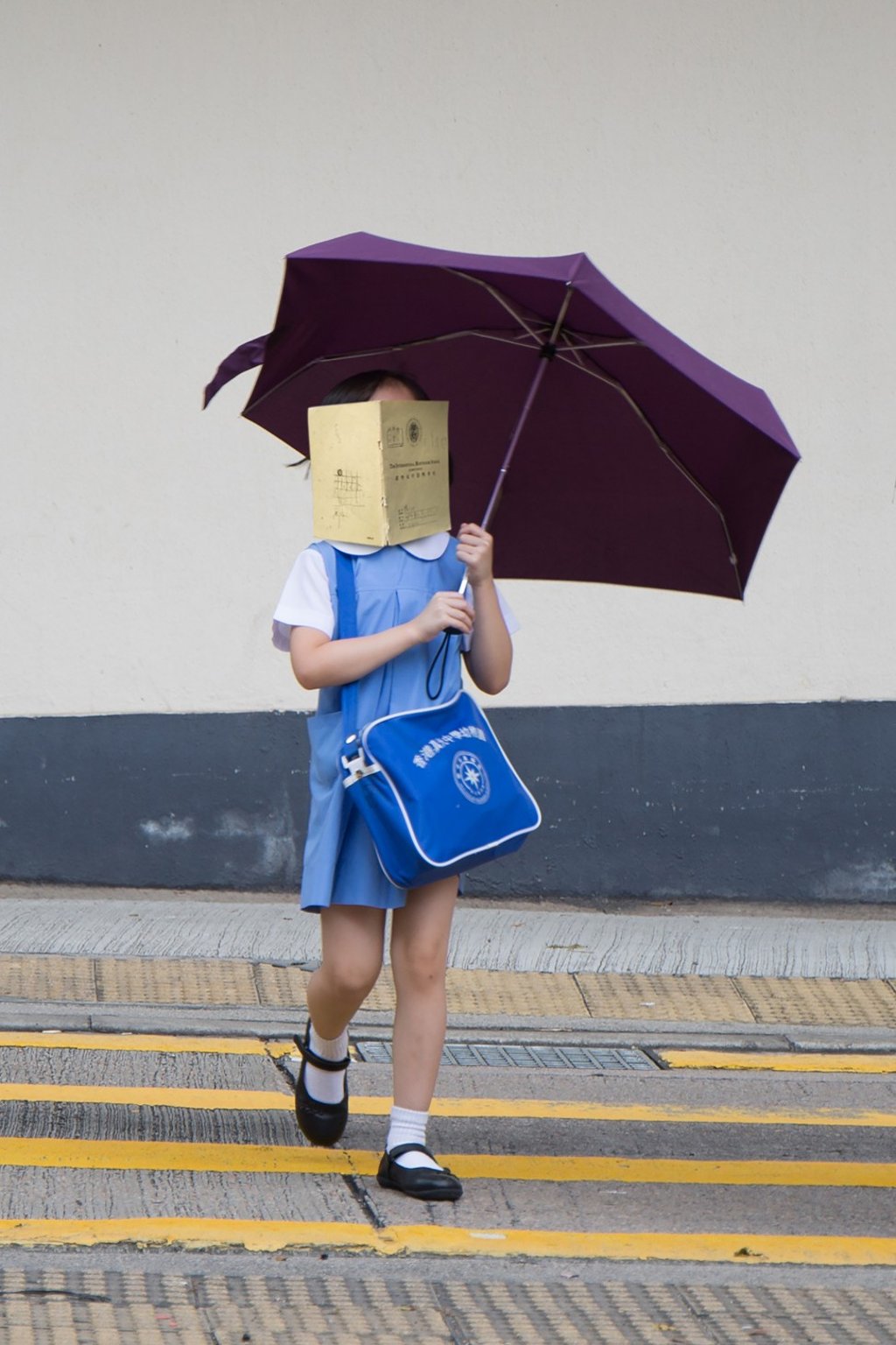 An image from Wesseling’s “Time to tame the tigers” series.