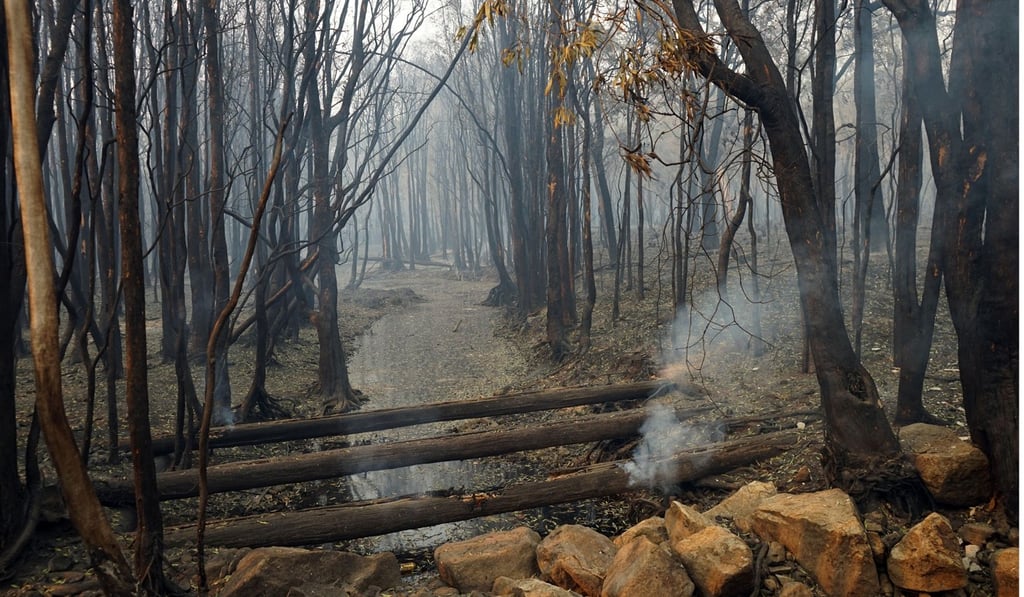 Smouldering woods of Blackwater creek crossing in the Deepwater National Park area of Queensland on November 29, 2018. Photo: AFP