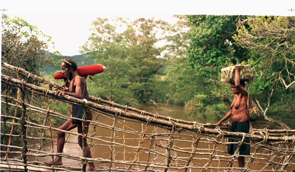 Much of Papua is covered in dense jungle and only accessible by air or on foot. Photo: Reuters