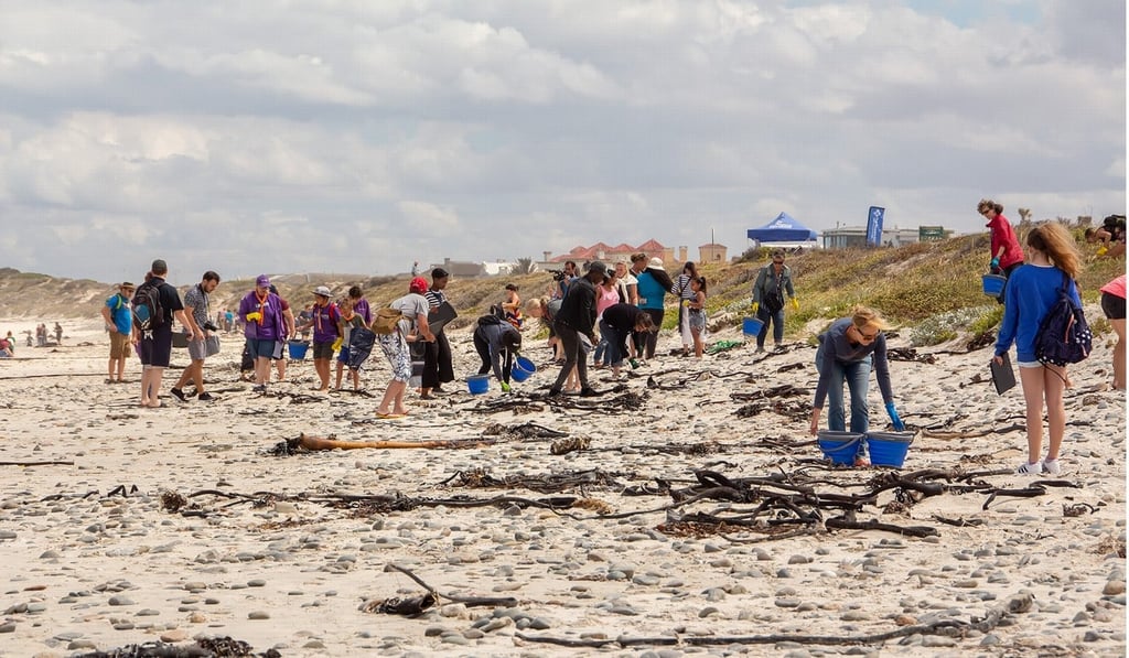 Volunteers cleaning up Sunset Beach in Blouberg, Cape Town, South Africa in December 2018. Photo: Xinhua Volunteers cleaning up Sunset Beach in Blouberg, Cape Town, South Africa in December 2018. Photo: Xinhua