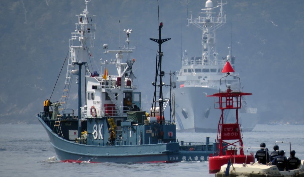 A Japanese whaling fleet. Photo: AFP