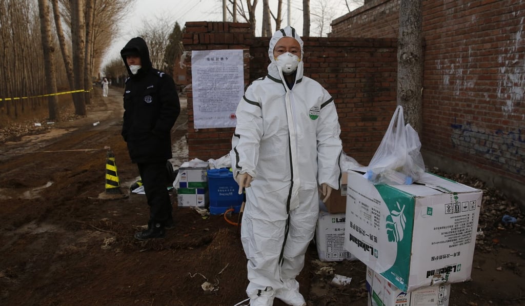 China has reported at least 92 outbreaks of African swine fever since the virus was first detected in northeast Liaoning province in early August. Photo: EPA-EFE China has reported at least 92 outbreaks of African swine fever since the virus was first detected in northeast Liaoning province in early August. Photo: EPA-EFE
