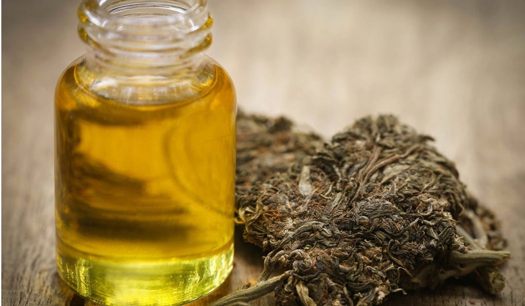 Medicinal cannabis with extract oil in a bottle. Photo: Shutterstock