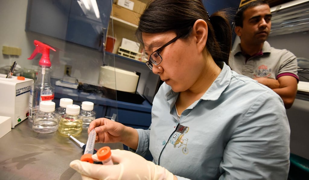 Researchers working on CRISPR gene-editing technology. Scientists believe it could be used to eradicate diseases, but that it is inevitable wealthy people will want to use it to enhance desirable attributes in their children. Photo: Chris Urso/Tampa Bay Times/Zuma