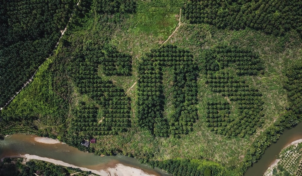 Palm oil plantations are often blamed for mass deforestation and habitat loss. Photo: Ernest Zacharevic