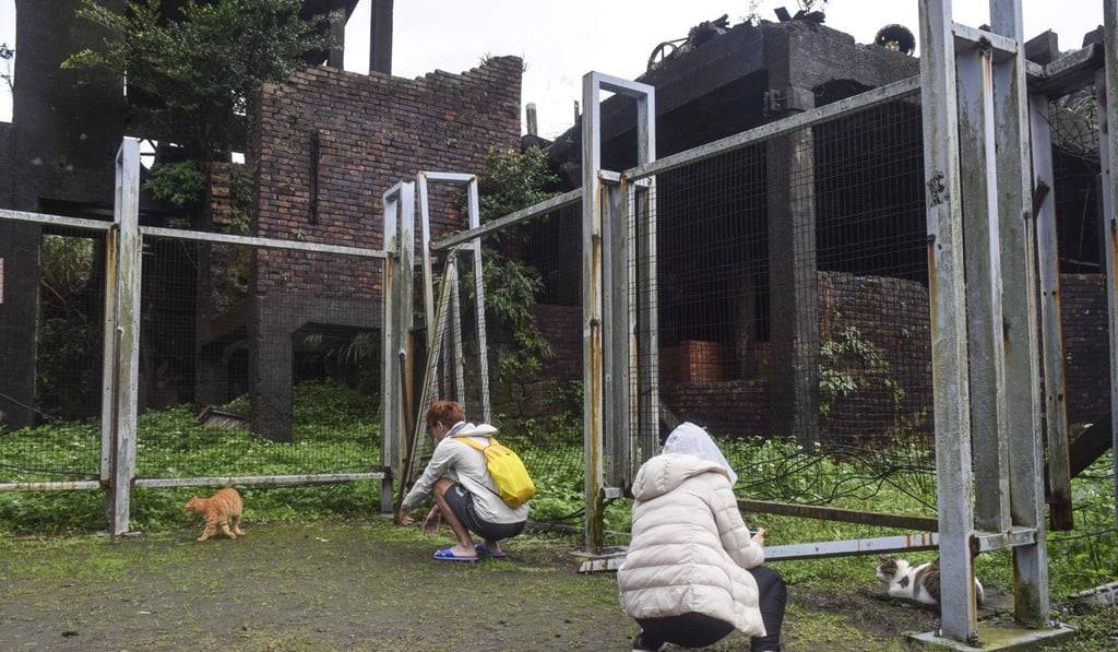 Tourists photograph cats at Houtong, a former coal mining settlement built by the Japanese that is now a “cat village”. Photo: Peter Ford